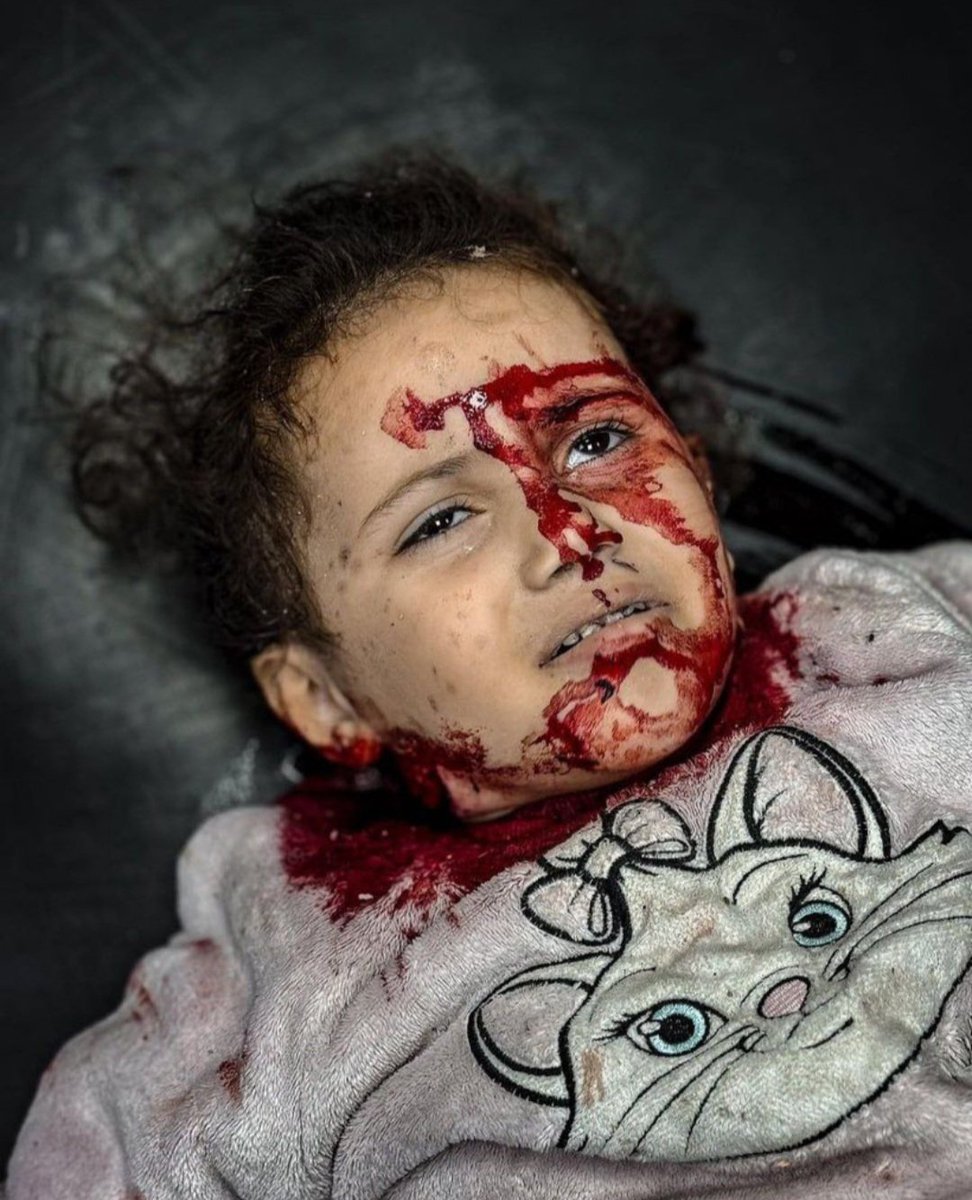 Saleem1051's tweet photo. This is Gaza. Israel is carrying #Genocide in Gaza.

Israel is a terrorist state.
#StopGenocide https://t.co/Qg1rTVmDY2
