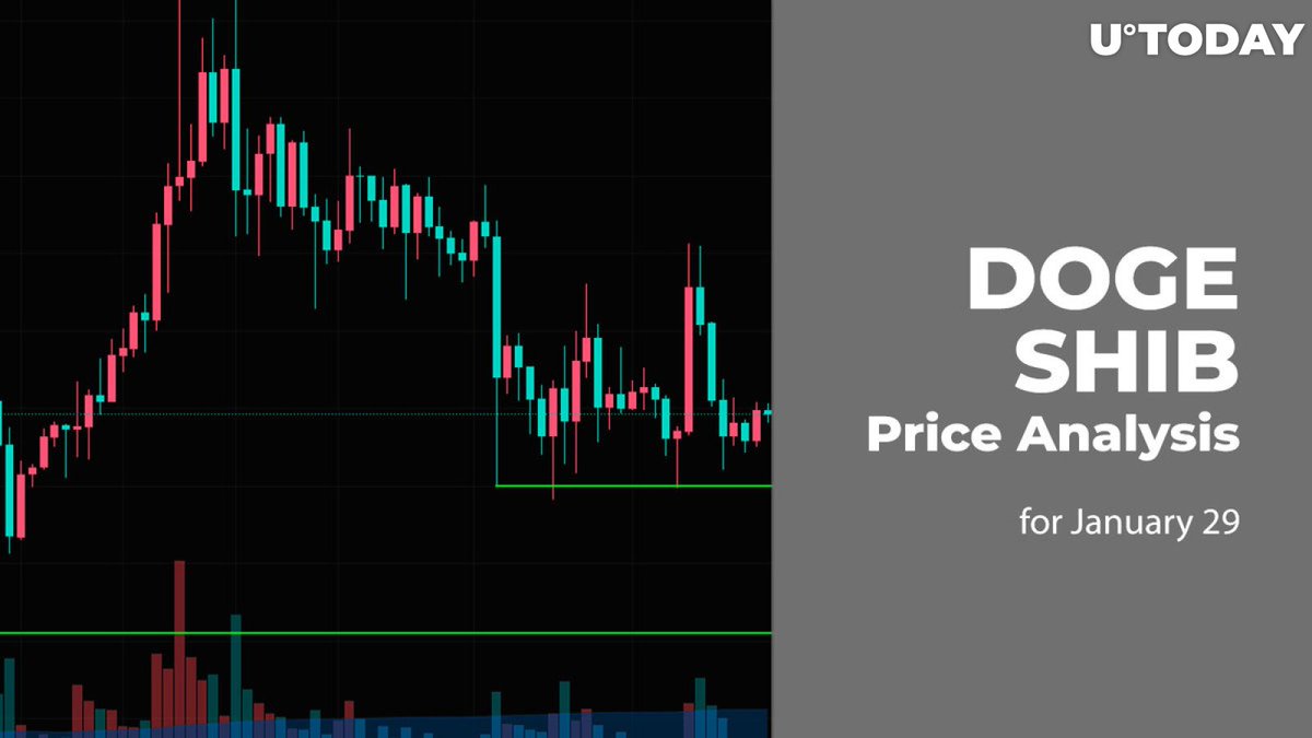 important95's tweet image. Analyzing the price movements of DOGE and SHIB on January 29 reveals interesting insights.