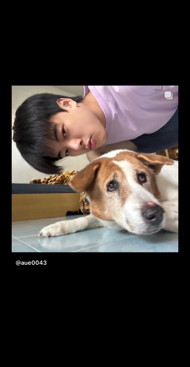 20240130
IGs update : gorn.proxie💖

@ aue0043 : หมาหายครับ ชื่อลัคกี้ ตัวเมีย อายุ 13 ปี หายจาก หมู่บ้านไชโยนคร ตรงข้ามโรงงานเอส สามแยกปัก โคราช ใครพบเจอ รบกวนโทรแจ้ง 0973406566 ได้เลยนะครับ รบกวนช่วยกดแชร์ด้วยก็จะขอบคุณมากเลยครับ 😔🙏🏻

#PROXIEGorn #PROXIEth