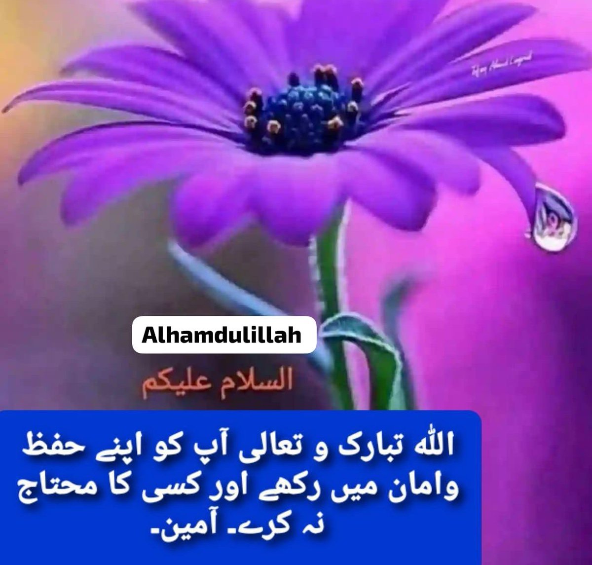 @1Hqim @5q_zk @Nazia_fb @__BXSH @lk6ha @sbnlhr @Zaryal12 @L_ra_b @RK99880 @Fasi1A @Z_Iq7075 @Ifb77 @Ibraram9 @JvdMayo @Rm7866 @nav616 @pak_911 @M2pti @NQI_9