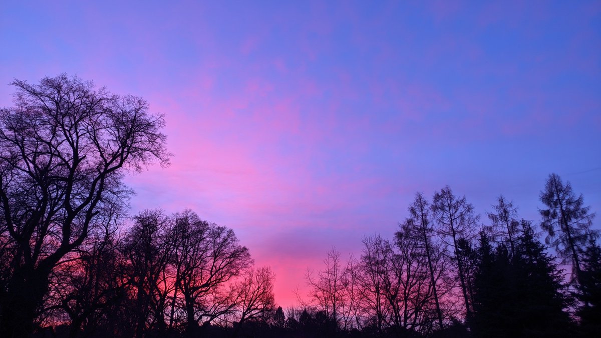 asterisque79's tweet photo. The morning sky right now, unprocessed, no filter 🥰
#sky #morning #sunrise #tree #clouds #nature #photography https://t.co/EzwGhmVymr