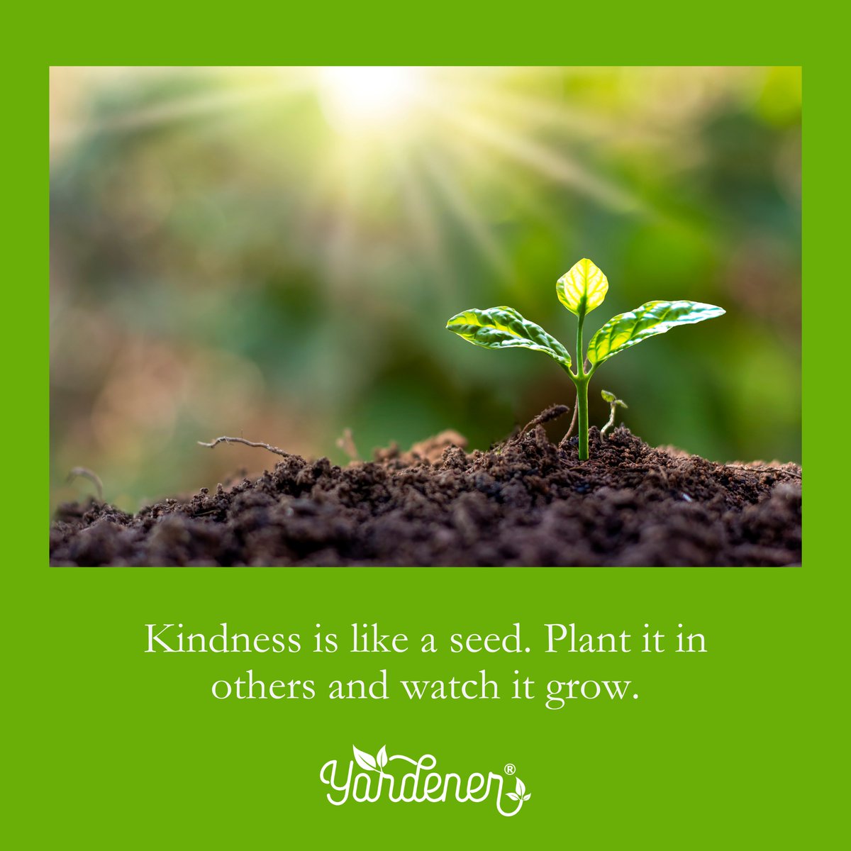 Be kind.
Do gardening.
Grow and let others grow. 

#GardeningX #gardeningtherapy #Motivation