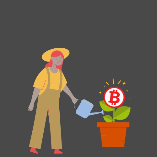 0₿itcoin tweet media