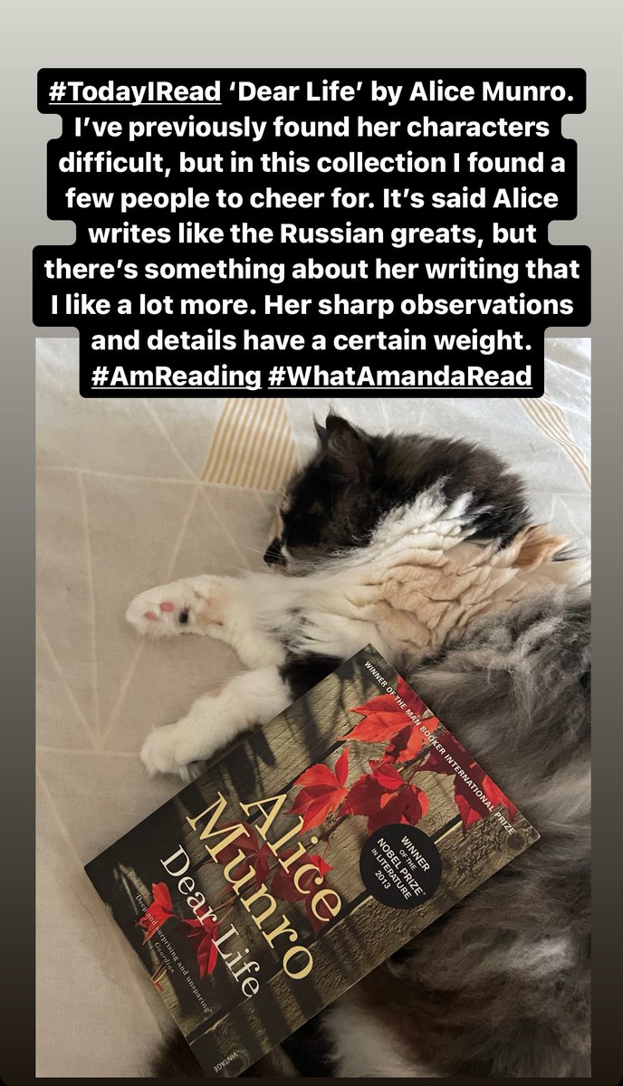 Amanda McLeod Writes tweet media