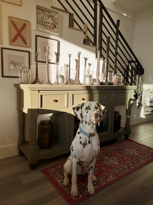 He&rsquo;s a golden boy. ☀️ https://t.co/7bHi9YO3TA