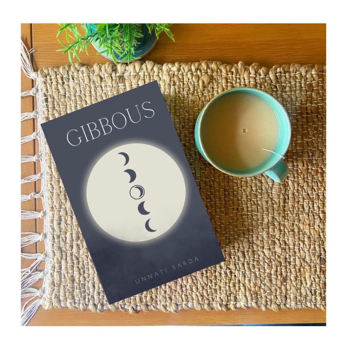 A mesmerizing tapestry of poetry that mirrors the transformative journey of the moon, drawing parallels to the imperfect yet enriching path of human existence &amp; reflecting on the complexities of life, offering profound insights into the pursuit of a meaningful existence. #books