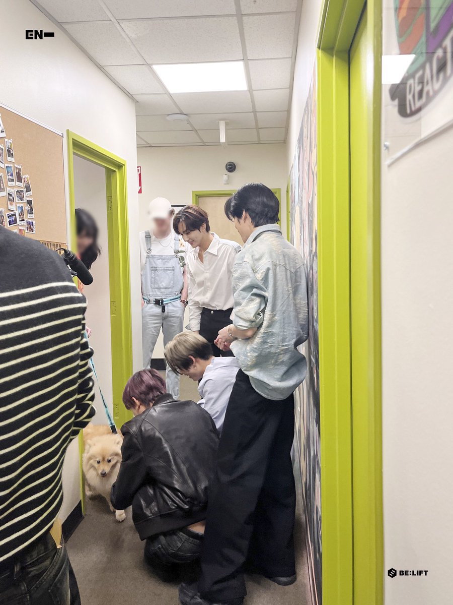Puppies attack! While we were on our interview, a cute, huge puppy suddenly appeared— capturing everyone's attention until the end of the show.