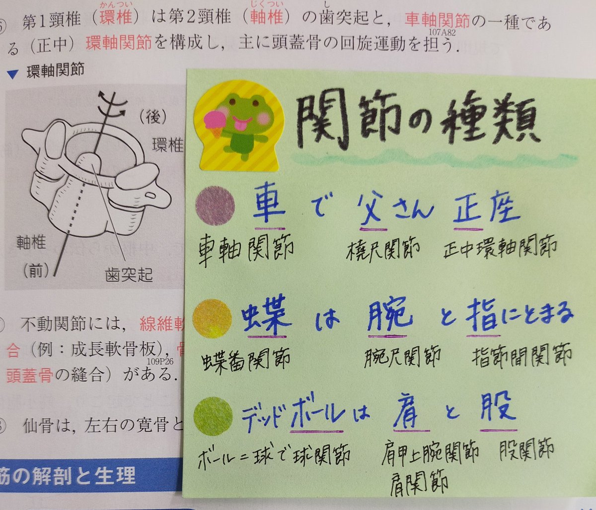 看護学生