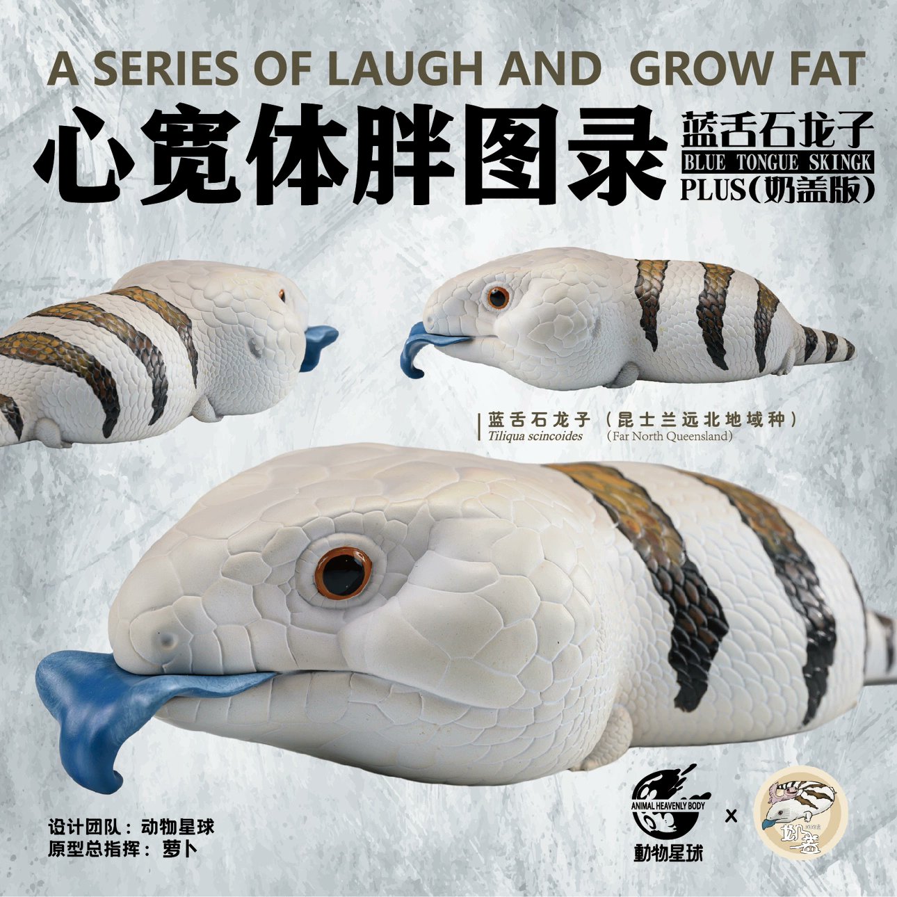 insectech 昆虫採集と標本用品の専門店 動物の惑星 on X: 