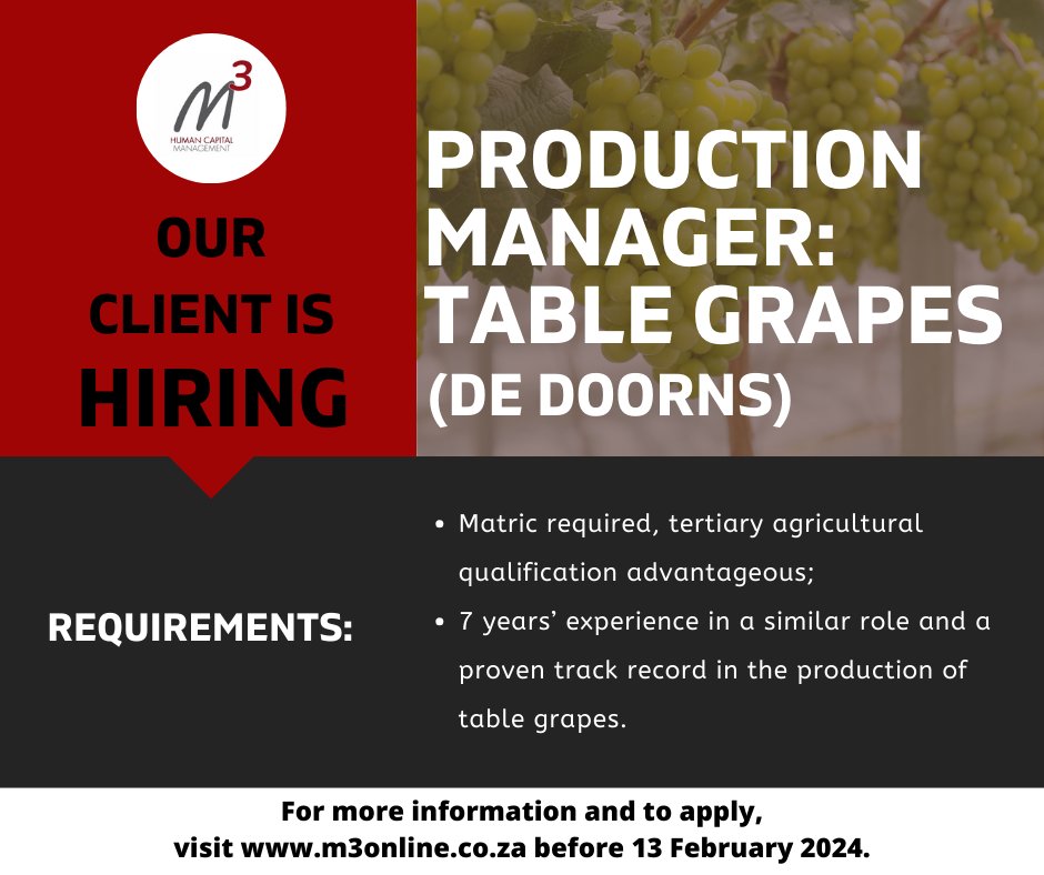 M3Capital's tweet photo. VACANCY: Production Manager (Table Grapes)
Follow the link for more information, full requirements and to apply: https://t.co/TfOL28y6EP
#productionmanager #production #tablegrapes #agriculture #vacancy #applynow #dedoorns #westerncape https://t.co/N6Ps7L46B5