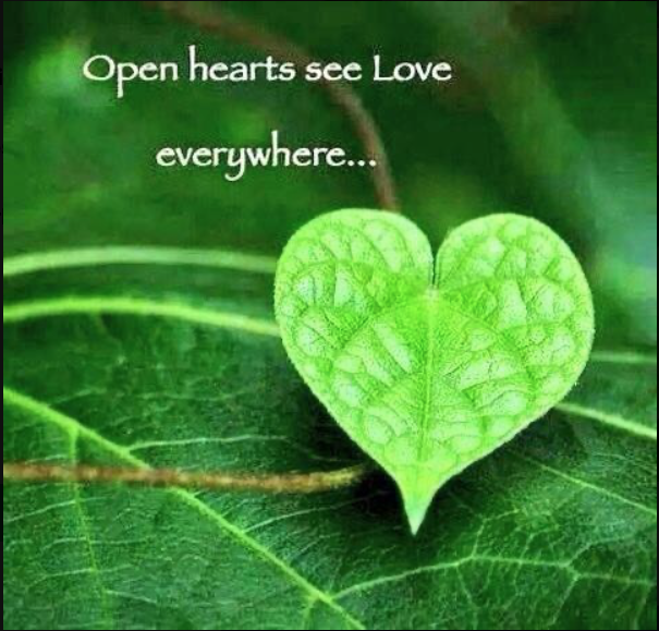 PayItFo72555724's tweet image. #openhearts #openhearted #seelove #loveiseverywhere #love #payitforward