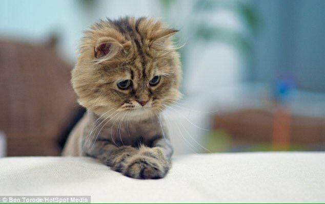 TWAR___SA🇿🇦 tweet media