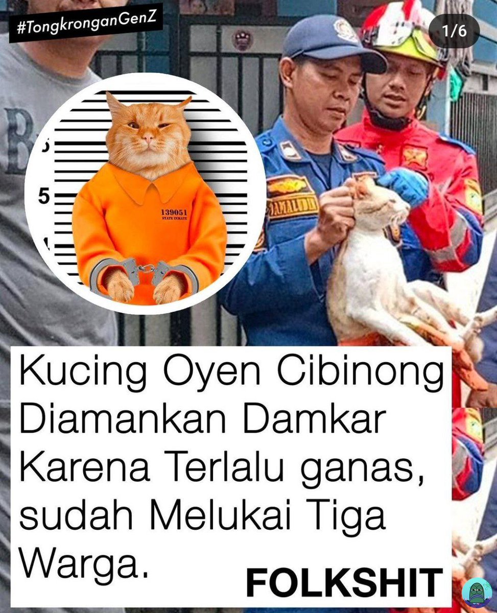 Tanyarl 💚 tweet media