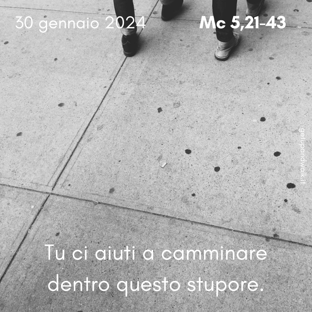_getupandwalk_'s tweet image. Avrò ancora il #coraggio e la sfrontatezza di #sperare
che il tuo #passaggio può intercettare il mio.

getupandwalk.gesuiti.it/2024/01/30/and…