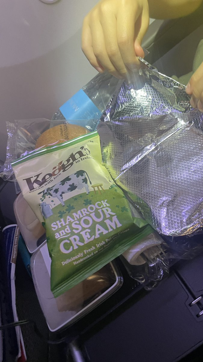 シンガポール航空は事前に食事選択。

普通食、フルーツミール、チャイルドミール、

インファント食はマッシュポテトみたいなやつとフルーツペースト、牛乳でした。

5歳娘は本当に食べないのでフルーツミールにして大正解でした😆

#えぃKL
