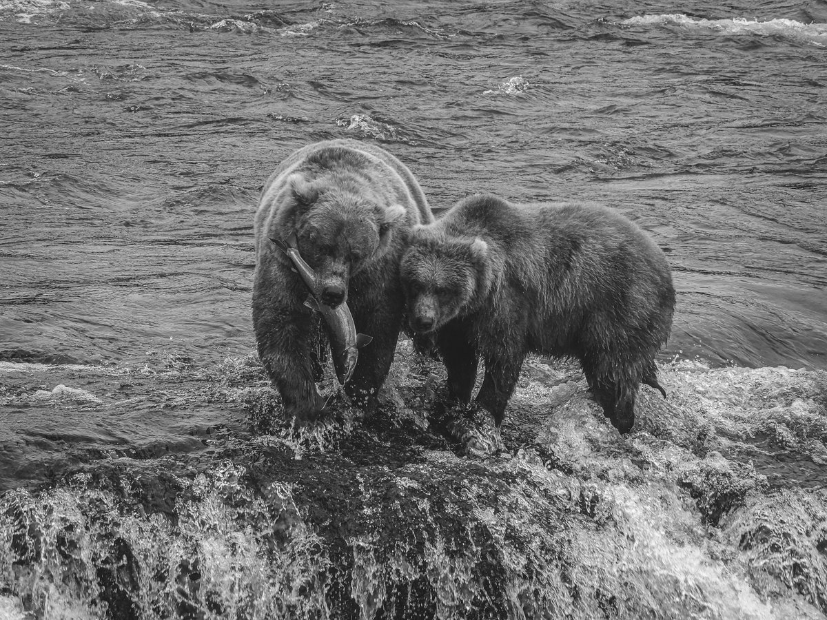 BlueJayWay tweet media