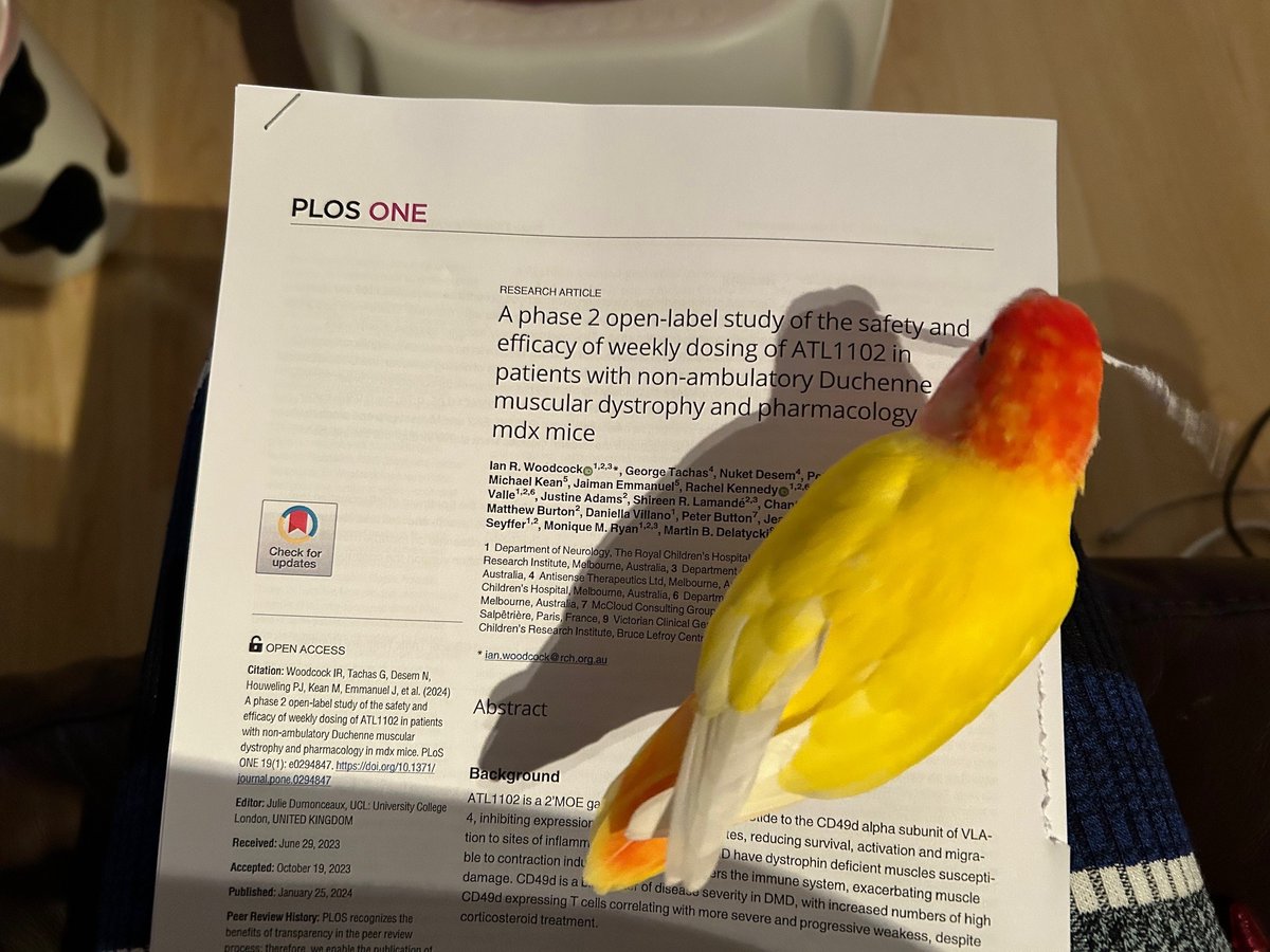 AnnemiekeAartsma-Rus tweet media