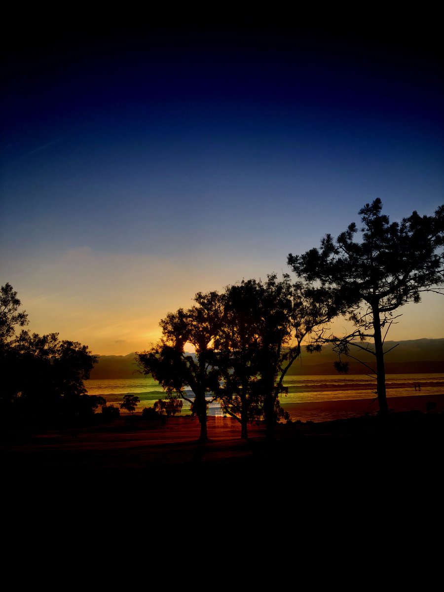 davesnft.eth 💊 tweet media