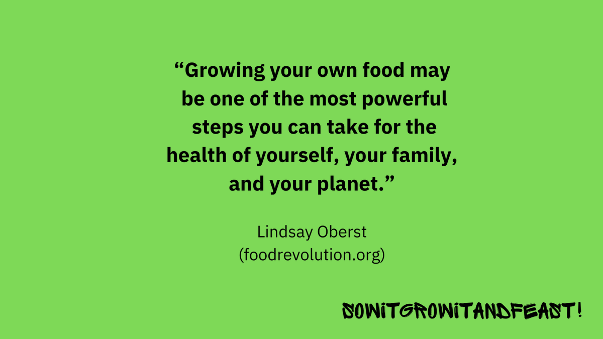 SowGrowFeast's tweet photo. Take a powerful step❤️
https://t.co/sPSHz7cwya
#sowitgrowitandfeast #sowit #growit #feast #andfeast #growyourownfood #growfood #powerfulstep #health #foryourhealth #foryourfamily #foryourplanet #lindsayoberst #foodrevolution #growfeed #growveggies #growvegetables #growyourown https://t.co/VkHjCAR2fi