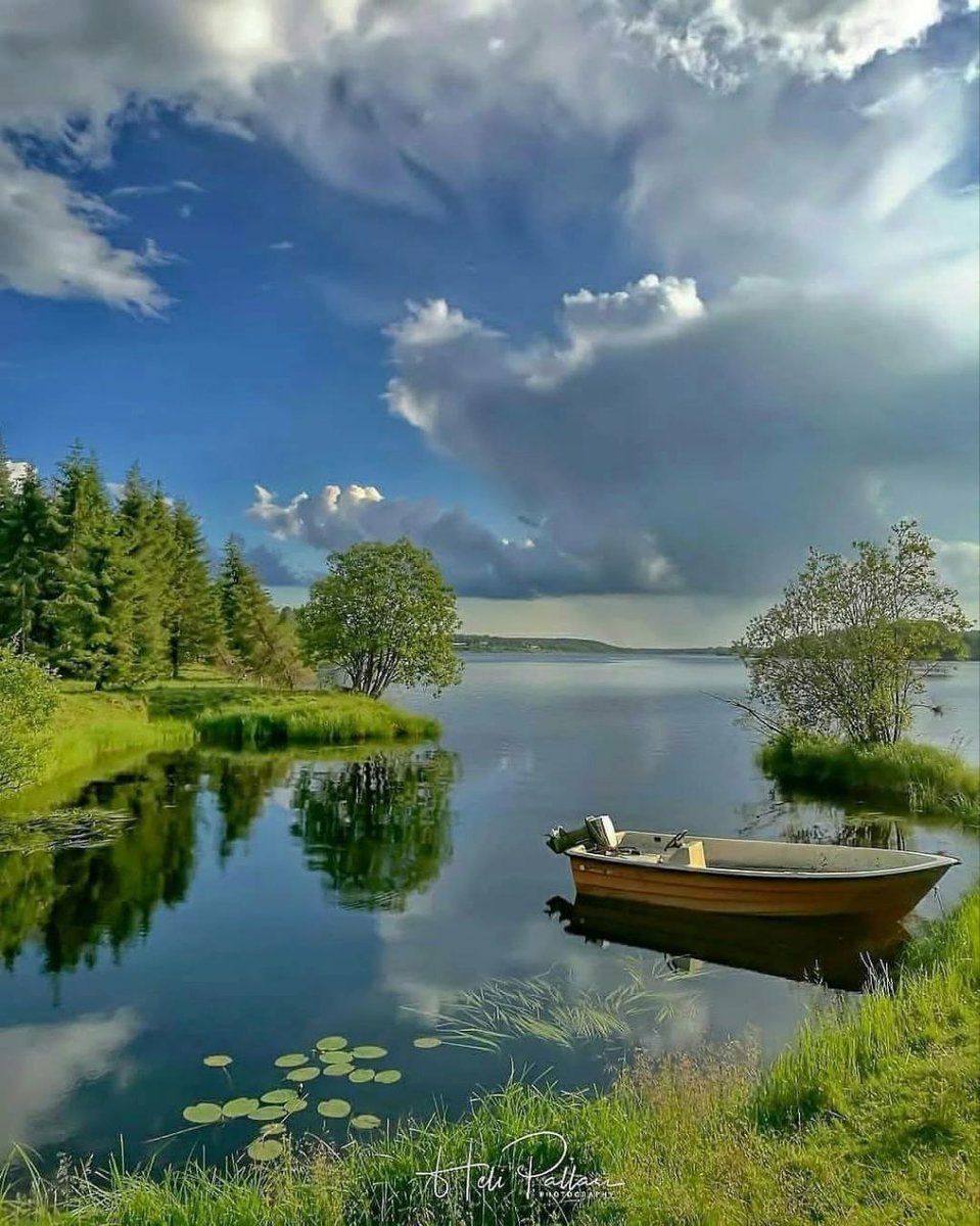 MARY_ESMAEELI's tweet photo. 🌿
Nice day 

#nature #photography https://t.co/fSOQwAbLlw