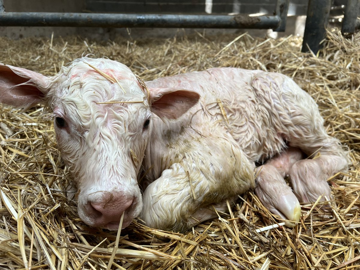 L’agriculture est le seul domaine où tout le monde donne son avis malgré que beaucoup n’y connaissent absolument rien !
