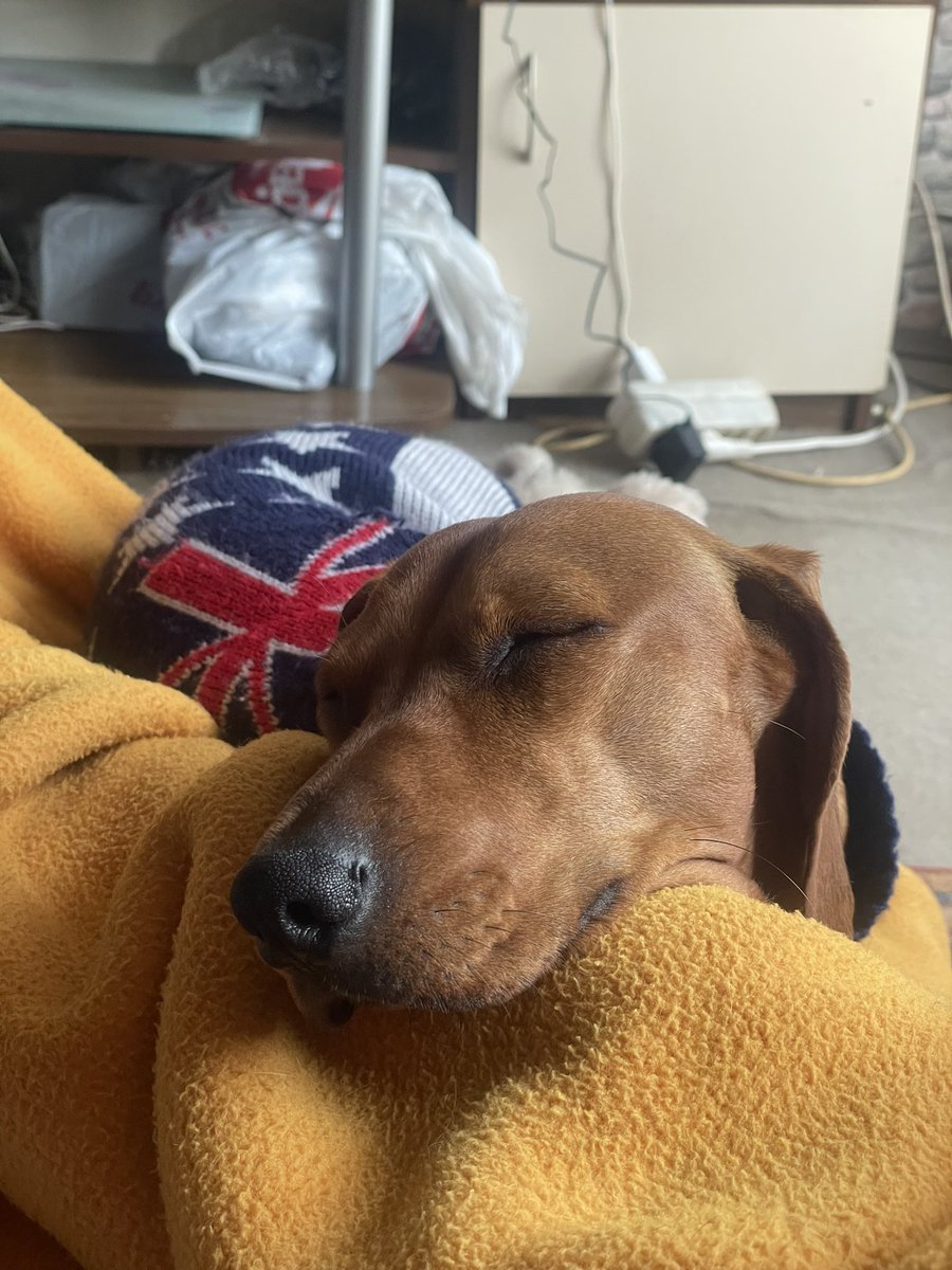 Emil Antonov tweet media