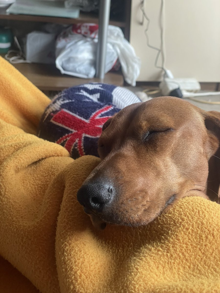 Emil Antonov tweet media