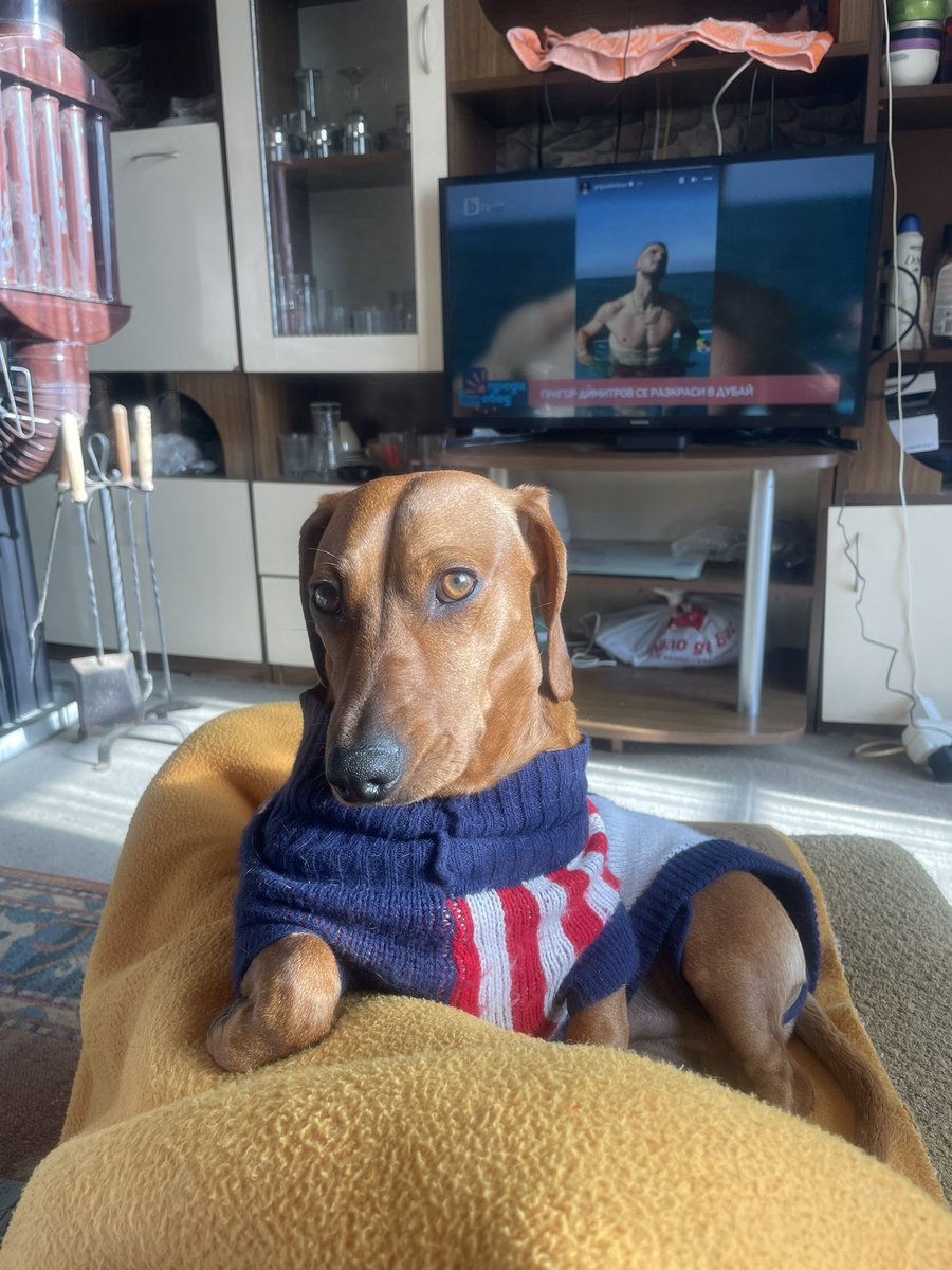 Emil Antonov tweet media