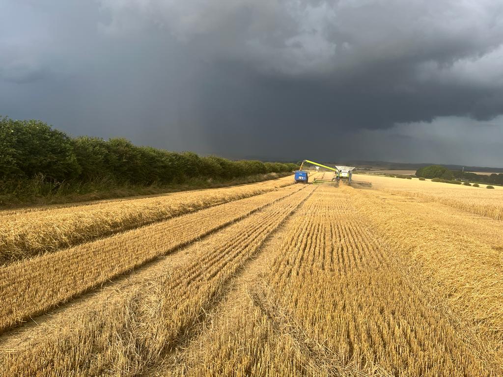 Our harvest 2023 review is now available to view on our JSR Farms website.
jsr.co.uk/harvest-review…
Well done to all the havest team! 👏👏👏

#harvest2023 #harvestreview #BritishAgriculture #wheat #barley #OSR #Rye #Peas