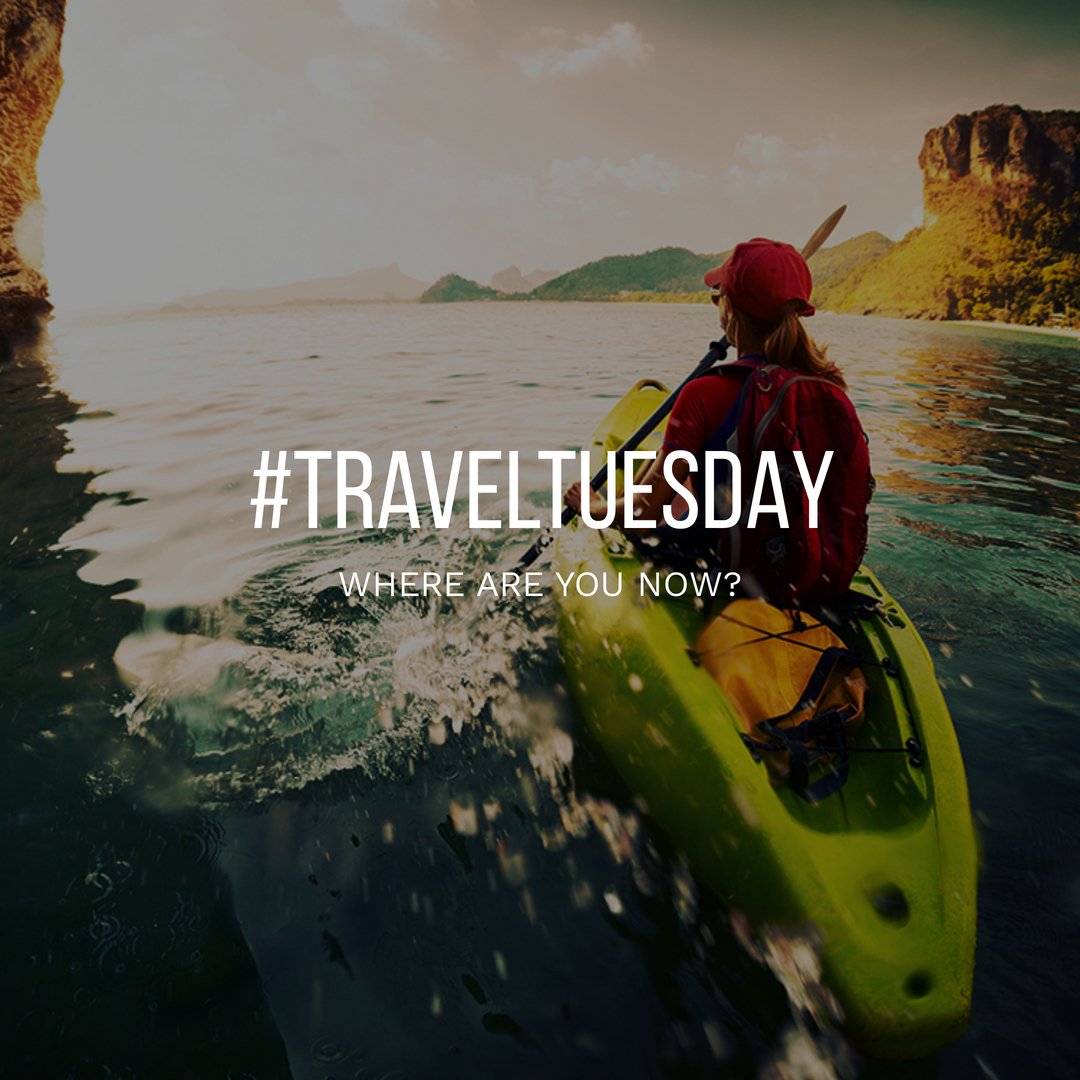 gaatha story गाथा स्टोरी tweet media