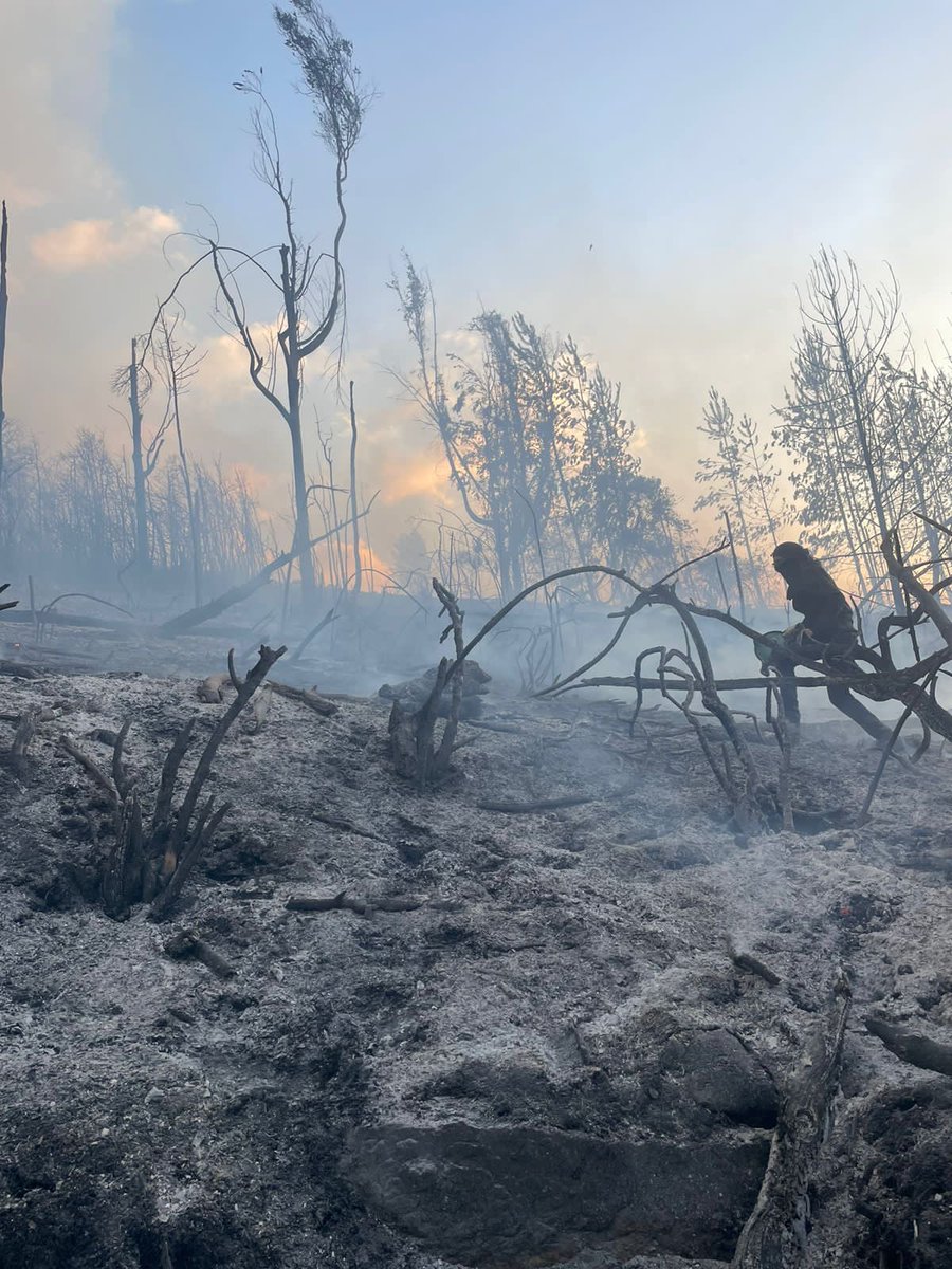 hallseysoy's tweet photo. Hoy mi día.. fue muy diferente a otros … hoy tocó literalmente salir y ayudar a mis vecinos para que no se quemaran sus casas 😭😖😖💔💔🙏🏼🙏🏼🙏🏼🙏🏼 #sos #sopo #IncendiosForestales https://t.co/Kvv9E0Myxj
