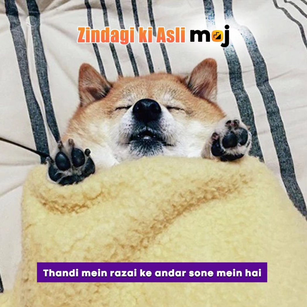 mojappofficial's tweet photo. Zindagi ki asli Moj sirf Moj pe hi hai!😍

#MojPeHiMojHai https://t.co/gvbTZ7yKQ7