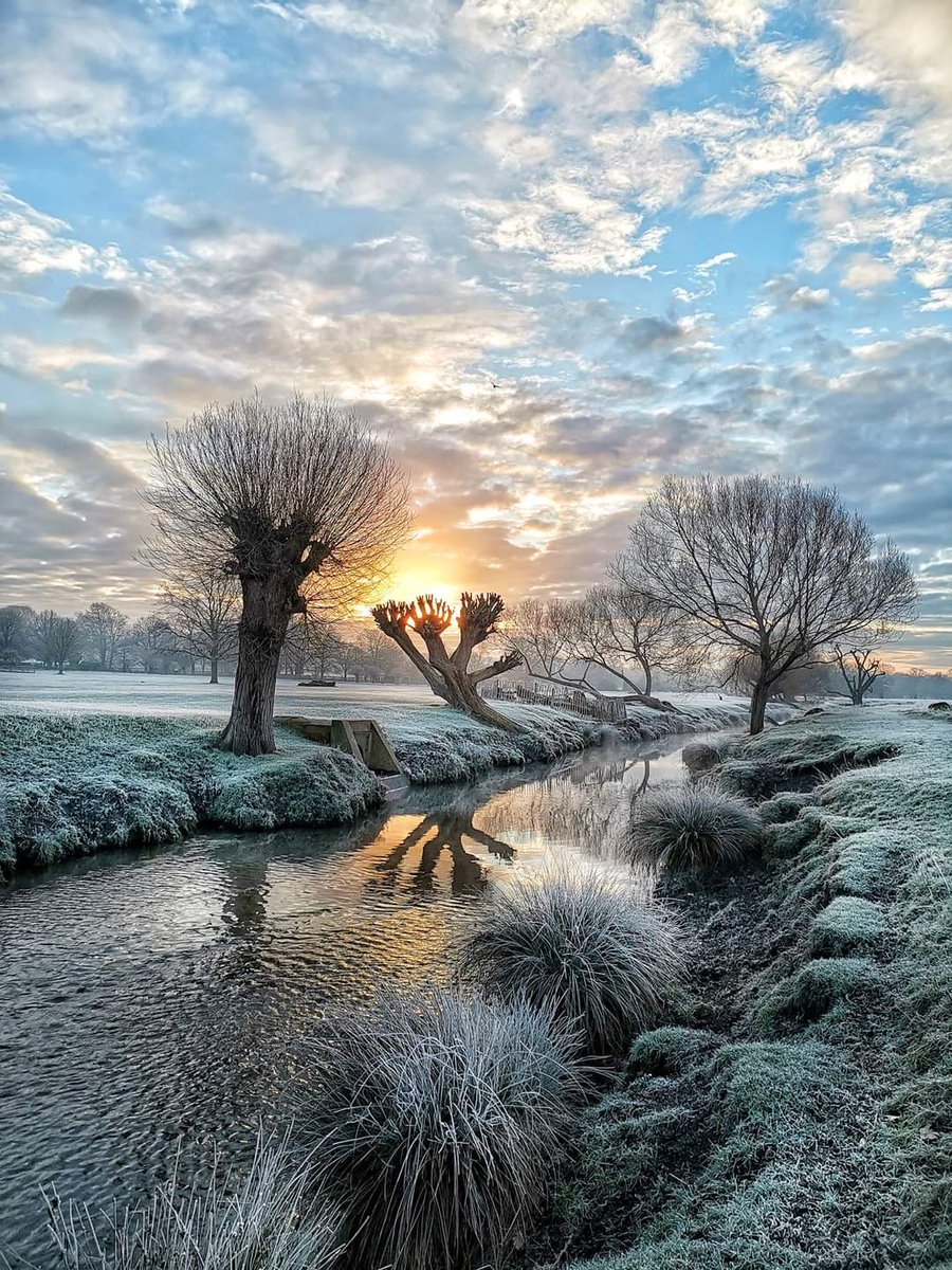AltonRenewal's tweet photo. Last chance to sign up for a 'Women Only Wetland Wander' to celebrate World Wetlands Day on 2nd February. After the walk @CCK_Roehampton 
will be serving a warm lunch for those that are able to stay. Meeting at Alton Arts Hub. Details below. https://t.co/Iy3OfoEhpQ