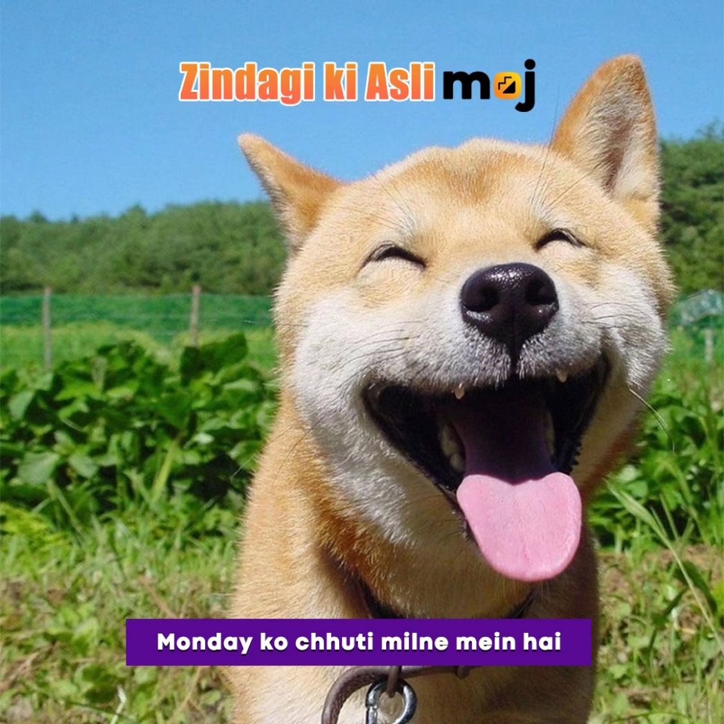 mojappofficial's tweet photo. Zindagi ki asli Moj sirf Moj pe hi hai!😍

#MojPeHiMojHai https://t.co/gvbTZ7yKQ7