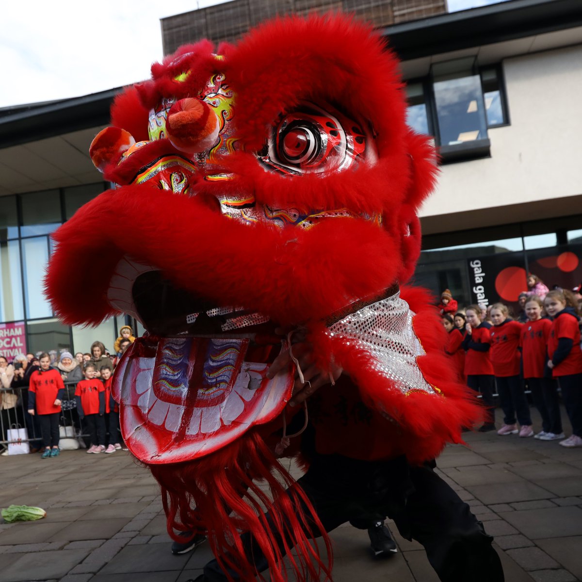 Lunar New Year is on the way ... with celebrations in Durham taking place on Saturday 10th February!  And it'll be brilliant :-)

If you want to know more, why not listen to the latest episode of The Durham Podcast here

totallylocallydurham.co.uk/podcast/