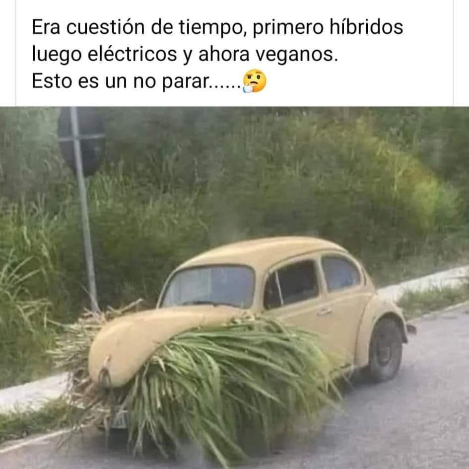 LORETOPALMAPAEZ's tweet photo. Jajajajjaja 🤣🤣🤣
Buen día Twitter https://t.co/UouCAoS0oy