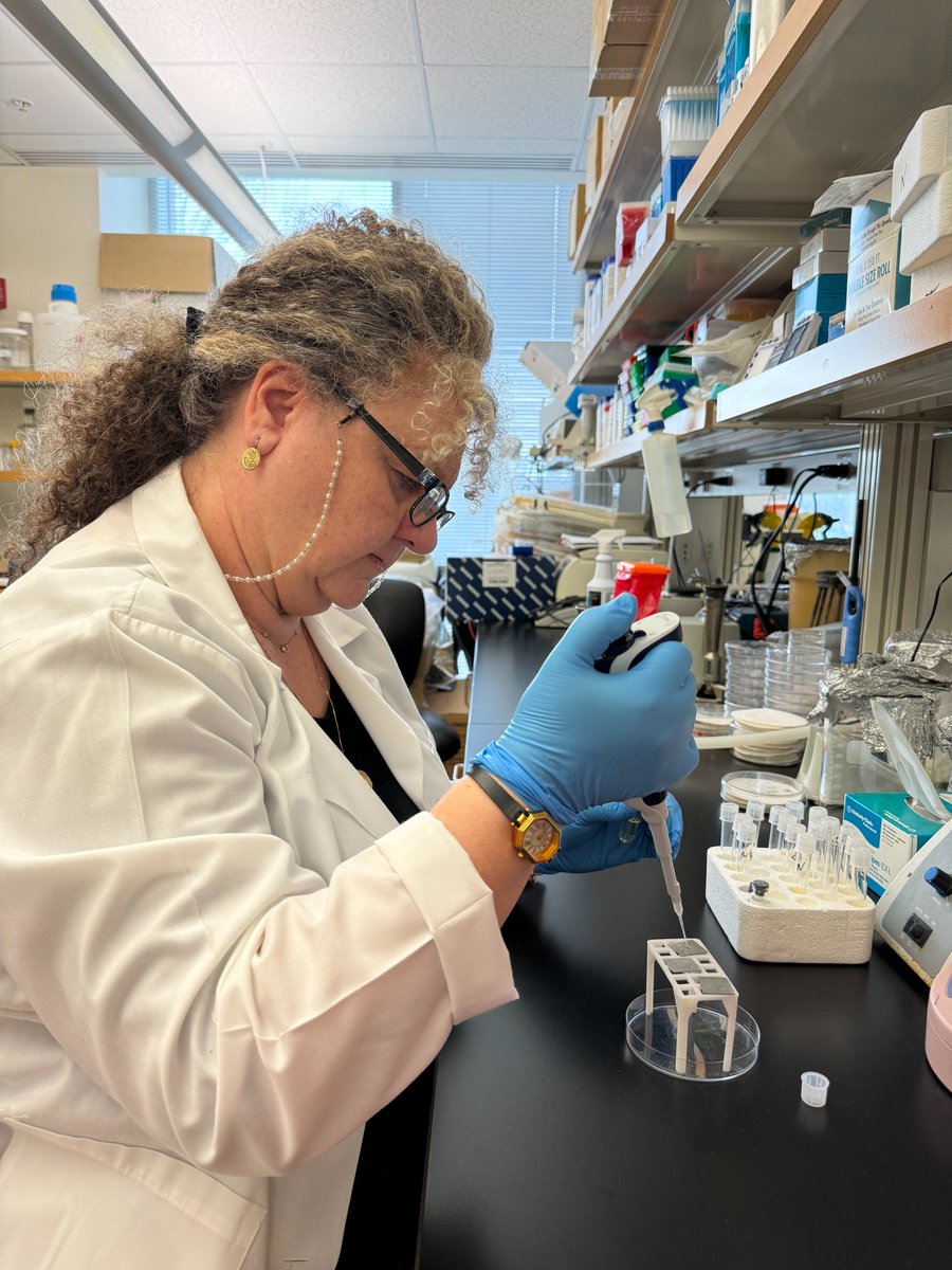 UF_EPI's tweet photo. When we bring samples back from outer #space, how can we make sure any microbe hitchhikers don’t become Earthly pathogens? 

Meet the #UF EPI team working on a @NASA-funded project to sterilize space microbes using ozone: https://t.co/bz74C3hgF6. https://t.co/69Ntk0aVN4