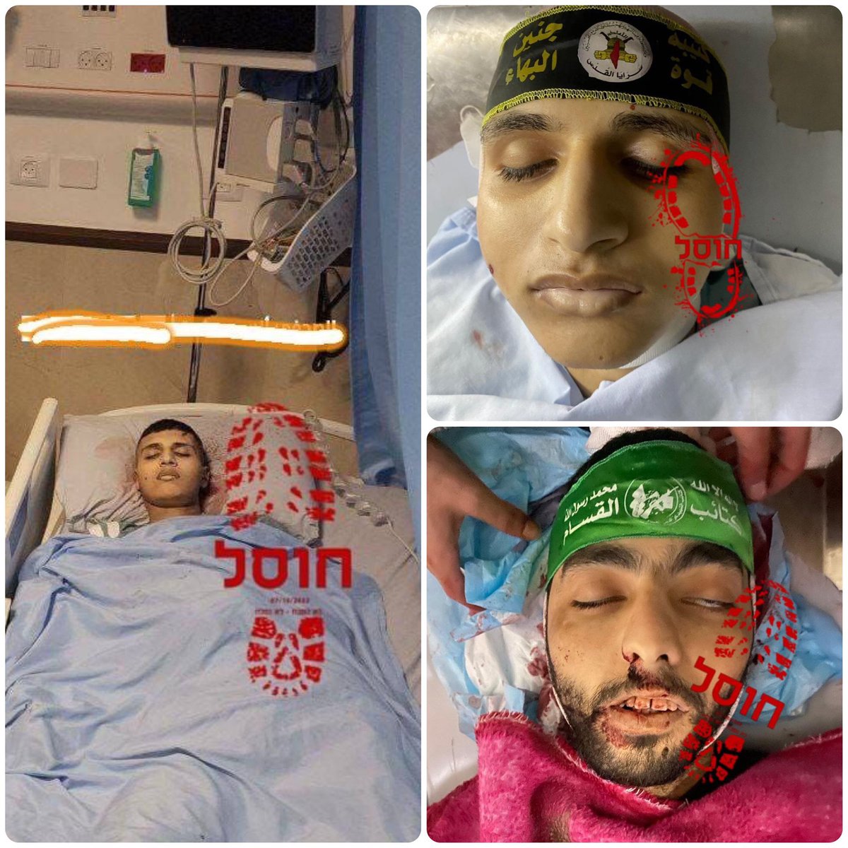 Open Source Intel tweet media