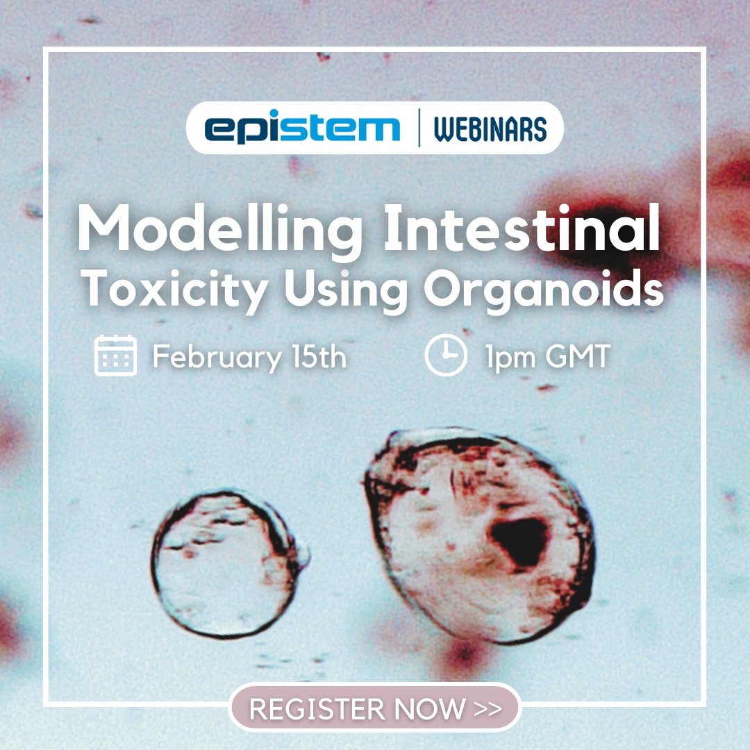 🕸NEW WEBINAR! Modelling Intestinal Toxicity Using Organoids🕸Learn more 👉tinyurl.com/4tdvkhwy

#OrganoidResearch #DrugDiscovery #Webinar #ScienceInnovation