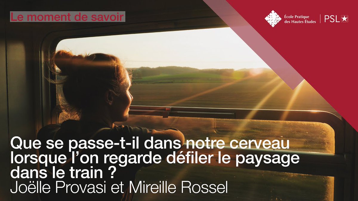 #LeMomentdeSavoir
Que se passe-t-il dans notre #cerveau lorsque l’on regarde défiler le #paysage ? Le rythme du train est-il une réminiscence de la vie intra-utérine ?
 
Réponse avec Mireille Rossel et Joëlle Provasi @ephe_psl

👉 urlz.fr/prsH

<a href="/psl_univ/">Université PSL</a>