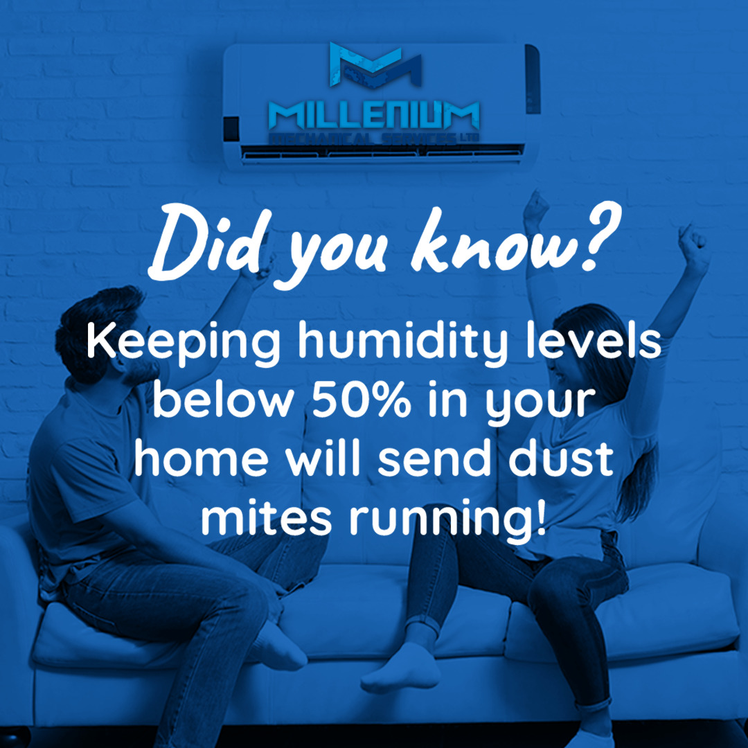 Make sure to keep your home humidity levels under 50% to keep away dust mites!

#hvac #hvaclife #hvactechnician #hvacservice #hvactech #heating #plumbing #cooling #ac #heatingandcooling #hvactools #hvaccontractor #contractor #hvacquality #maintenance #hvachacks #hvactips