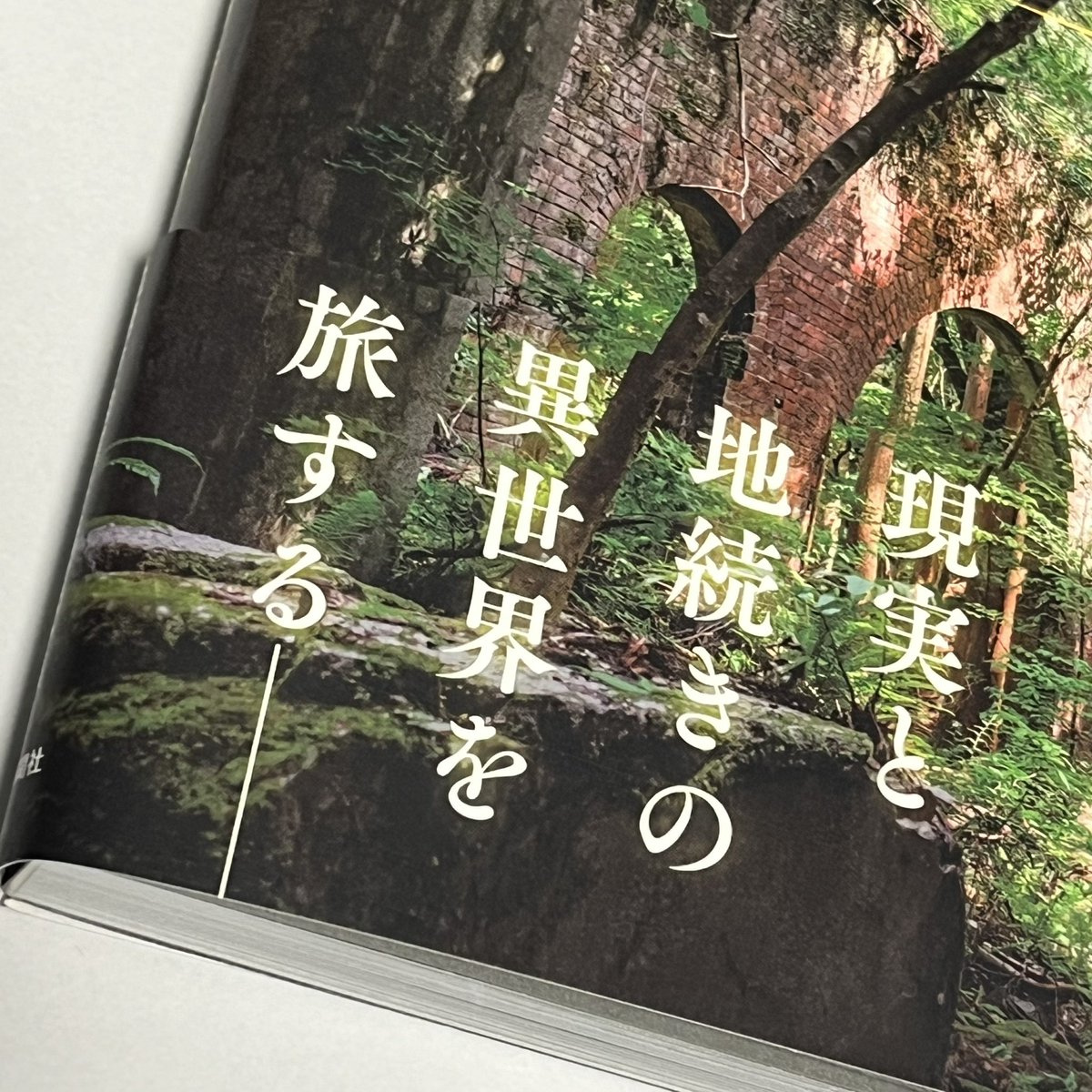 quo_re's tweet photo. toshiboさん「ゲーム旅」届きました！
ありがとうございます！
...血湧き肉躍る...ゲームのような景色...
すごいところばかり...！
（私がうっかり踏みこん���ら無事には��って来られなさそう...） https://t.co/BKqSU74lhj