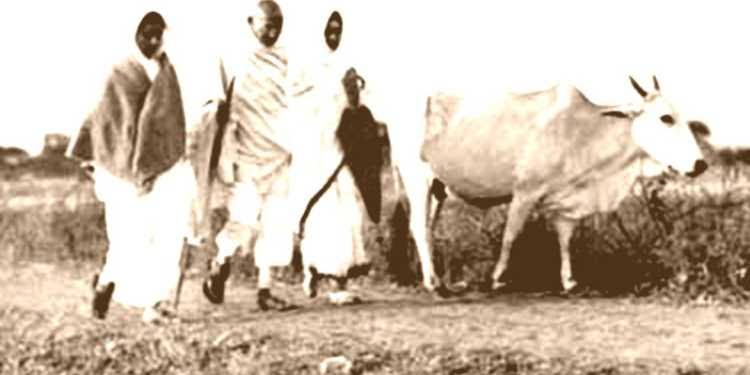 Cow is the source of progress and prosperity. In many ways, it is superior to one's mother. 

- #GandhiJayanti 🙏