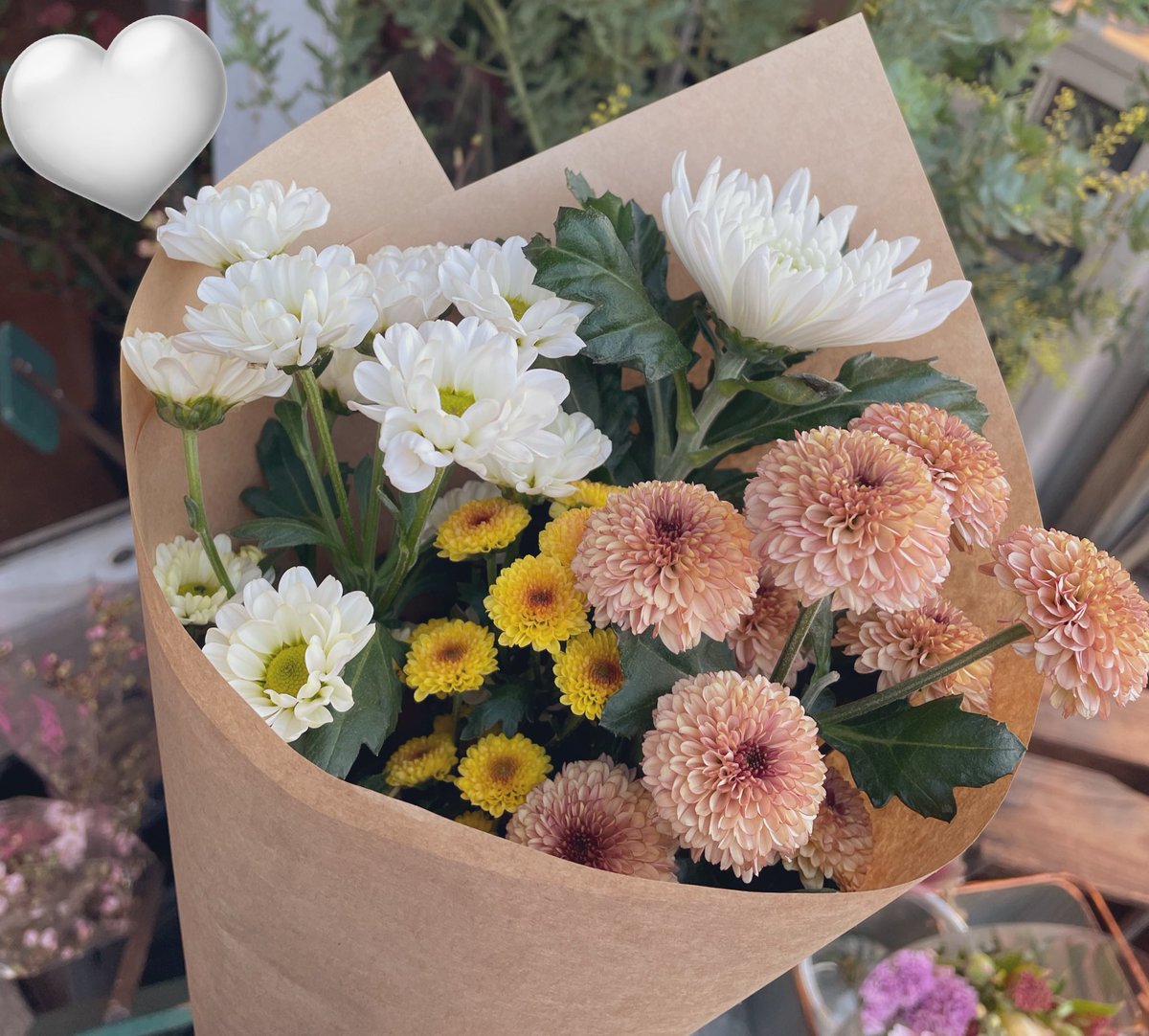 __mirp's tweet photo. 通りかかった道に花屋さんがあったので https://t.co/fkRxzK9RX0