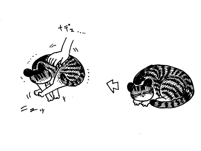 1/30
丸まってる猫を撫でると変形するの好き 