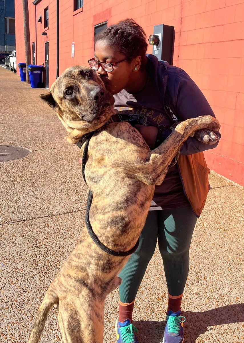 Sleet was out in the cold with no shelter, nor did he seek any. He didn’t believe he was good enough. his rescue changed his life. We love changing lives 365 days a year!
TODAY is our Matching Mania Grant Giveaway!! Donations are matched + prizes all day! Strayrescue.org/Match-My-Gift