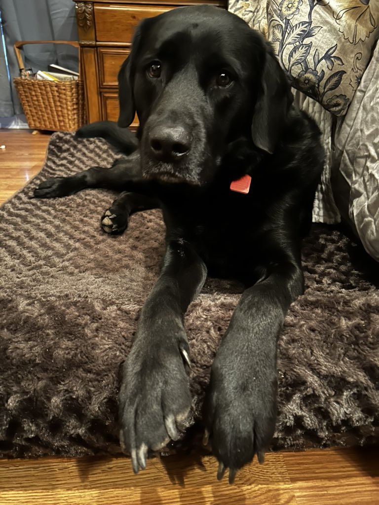 mcgee_nbct's tweet photo. But Mom…why do you have to go to work? https://t.co/KL9SKMQmwq