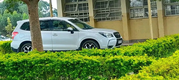 ~m.u.s.t.a.r.d🌱s.e.e.d. tweet media