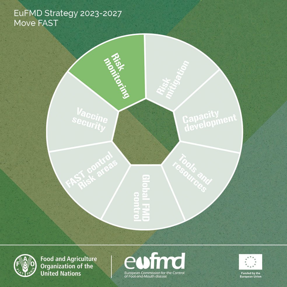 Eufmd's tweet image. 📊🌍 Strengthening global surveillance against #FASTdiseases. With #MoveFAST, we're supporting the WOAH-FAO FMD Reference Laboratory network to gather vital virus intelligence. fao.org/3/cc9047en/cc9…  

Together, we can build a resilient #livestock sector.