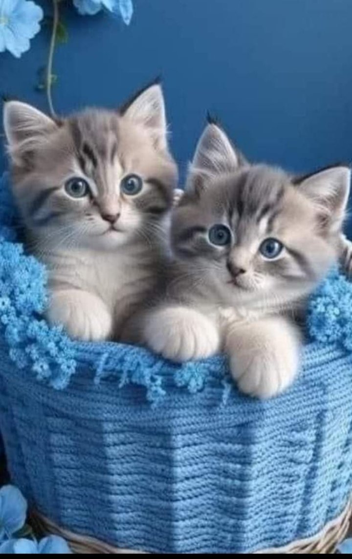 dolphinapart's tweet photo. İçinizdeki çocuğu hep güldürün yarınların ne getireceği bilinmez...
#Sevip sevildiğiniz
#güzel bir gün olsun
#Sevgiyle💞
🌼🕊🌼🕊🌼🕊🌼🕊🌼🕊 https://t.co/JfAQNKq0vI